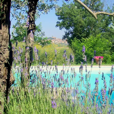 In Val Di Chiana Дом отдыха *