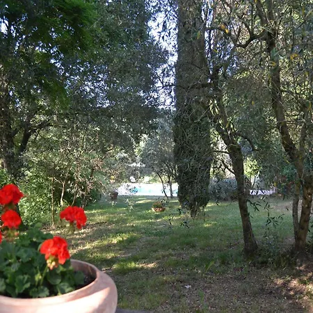 Дом отдыха In Val Di Chiana Кастильон-Фьорентино